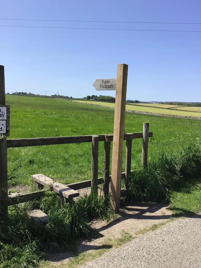 Campsite Cow Close Camping Pods Leyburn